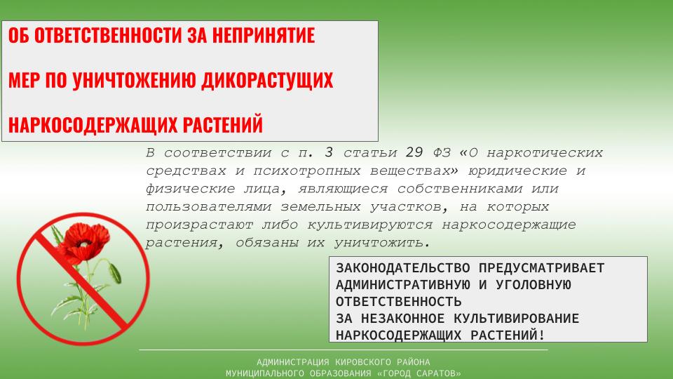 На территории Саратовской области проводится региональная межведомственная комплексная оперативно-профилактическая операция «Мак-2024».